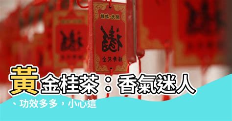 黃金桂禁忌|【黃金桂禁忌】黃金桂茶：香氣迷人、功效多多，小心這些禁忌！。